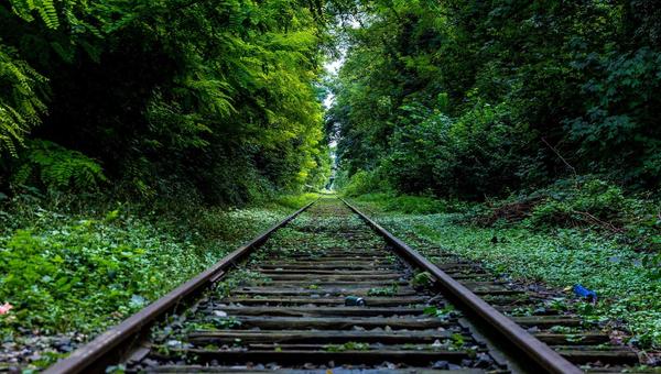 百家乐尊享