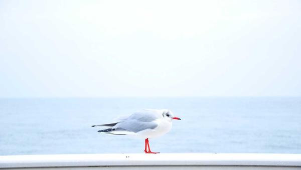 麻将起源